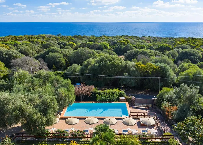 Mamuthones 奥罗塞伊